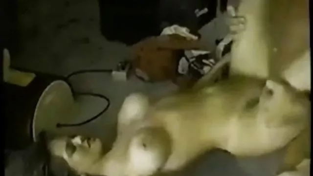 دو جوجه بزرگ دارای حفره كس حشري و سوراخ شدن در دهان هستند