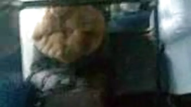 دختر سایت سکسی حشری ورزشکار مأمور در گربه در خیابان