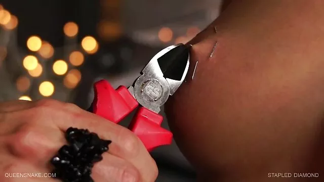 پدر و پسر تقدیم مشاعره حشری جدید بزرگ